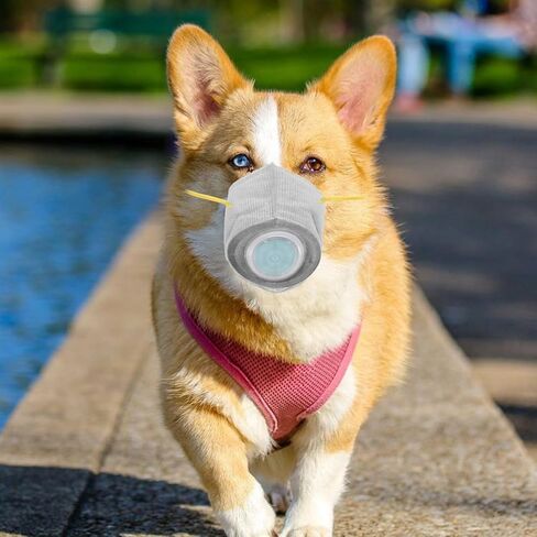 STOBOK Adjustable Dog Gas Maskss Dog Muzzle Reusable Puppy Masks Breathable Dog Mouth Protection Masks Filter Air Pollutants for Small Large Dogs L Dark Grey in Kuwait