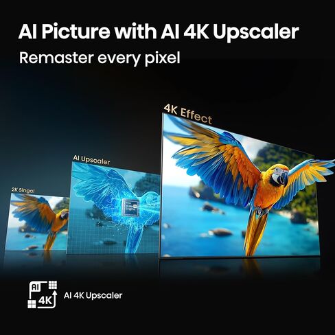 Hisense 98" Class QD5 Series (98QD5QG, 2025 Model) QLED 4K UHD Smart Google TV, Native144Hz, Dolby Vision Atmos, Motion Rate 480, HDR 10+, FreeSync Premium, Game Mode Pro, MEMC, VRR, ALLM in Saudi Arabia