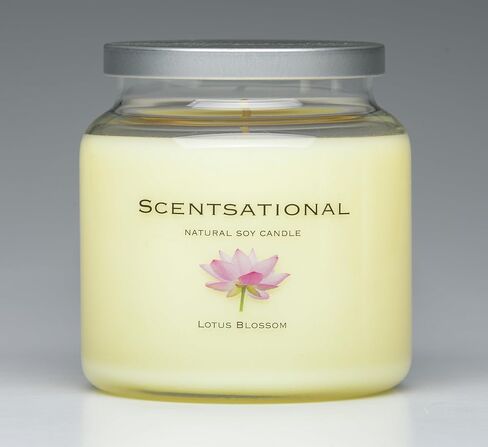 Scentsational Soaps & Candles Natural Soy Wax Candle Apple Cinnamon in Saudi Arabia