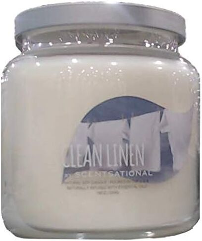 Scentsational Soaps & Candles Natural Soy Wax Candle Apple Cinnamon in Saudi Arabia