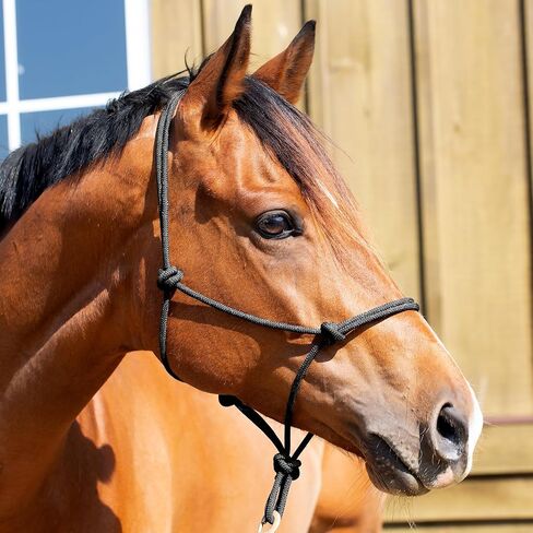 Equinavia Rope Halter in Saudi Arabia