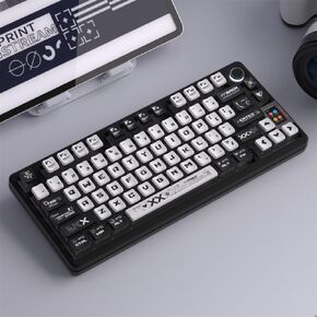PrintStream Translucent Keycaps, Mechanical Gaming Keyboard CSGO OEM Profile PBT+PC Keycap