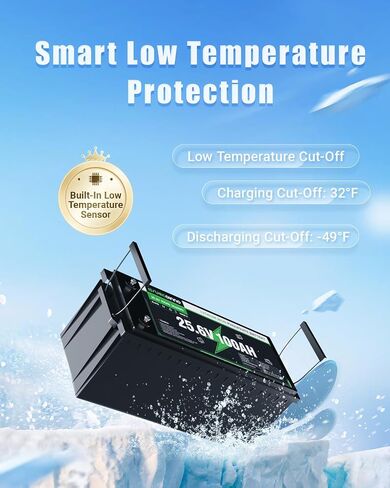بطارية 24V 100AH ​​LIFEPO4 ، 15000 دورة عميقة ، تم بناؤها في 100A BMS ، عمر 10 سنوات ، و 2560WH بطارية فوسفات الحديد الليثيوم العميقة للدورة للبحرية ، ومحرك التصيد ، والطاقة الشمسية ، و RV ، وعربة الجولف ، و OFF-GRID in Saudi Arabia