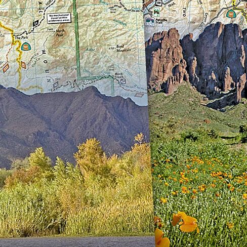 Tonto National Forest [Map Pack Bundle] (National Geographic Trails Illustrated Map) in Saudi Arabia