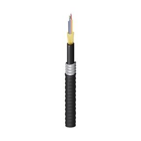 FDSD012A9 Indoor/Outdoor Plenum OS2 Distribution 12-Fibers Aluminum Interlocked