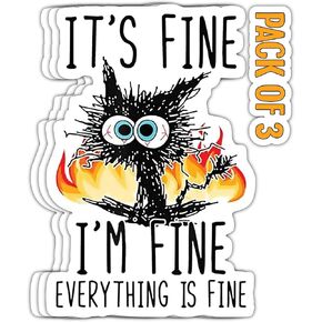 THATS IT! Its Fine Everything is fine Stickers | Decal Car Bumper | Indoor Outdoor Window Sticker | Vinyl Decal for Laptop, iPad | Waterproof & Long Lasting | TI – 351