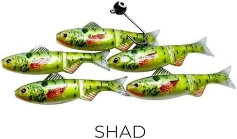 مجموعة اختبار الميدان - 1/16 و 1/32 أوقية أحجام | 8 Jig Minnow أنواع (Shad ، Berch ، Patriot ، Rainbow ، Dace ، Crappie ، Sunfish ، Blue Sunfish) | 40 قطعة إجمالية لكل مجموعة in Saudi Arabia