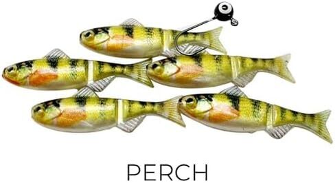 مجموعة اختبار الميدان - 1/16 و 1/32 أوقية أحجام | 8 Jig Minnow أنواع (Shad ، Berch ، Patriot ، Rainbow ، Dace ، Crappie ، Sunfish ، Blue Sunfish) | 40 قطعة إجمالية لكل مجموعة in Saudi Arabia