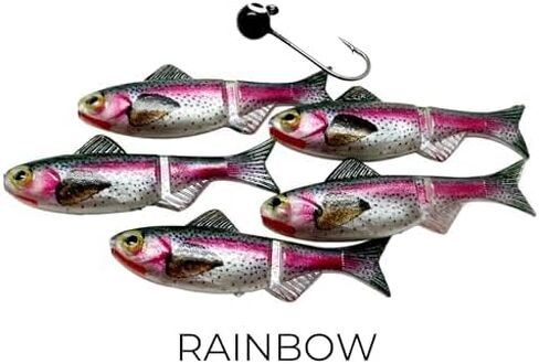 مجموعة اختبار الميدان - 1/16 و 1/32 أوقية أحجام | 8 Jig Minnow أنواع (Shad ، Berch ، Patriot ، Rainbow ، Dace ، Crappie ، Sunfish ، Blue Sunfish) | 40 قطعة إجمالية لكل مجموعة in Saudi Arabia