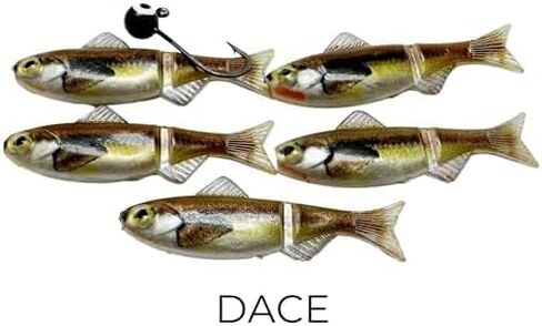 مجموعة اختبار الميدان - 1/16 و 1/32 أوقية أحجام | 8 Jig Minnow أنواع (Shad ، Berch ، Patriot ، Rainbow ، Dace ، Crappie ، Sunfish ، Blue Sunfish) | 40 قطعة إجمالية لكل مجموعة in Saudi Arabia
