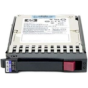 HP EH0300FBQDD (Renewed)