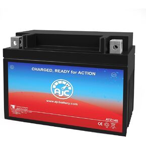 AJC Battery Compatible with SigmasTek STZ14S Powersports Battery