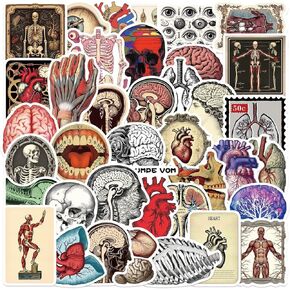Anatomical Heart Artistic Stickers |50Pcs Human Body Cardiac Organ Decals for Water Bottles Bicycle Laptop Refrigerator Luggage Computer Mobile Phone Skateboard Bike Decor (Heart)