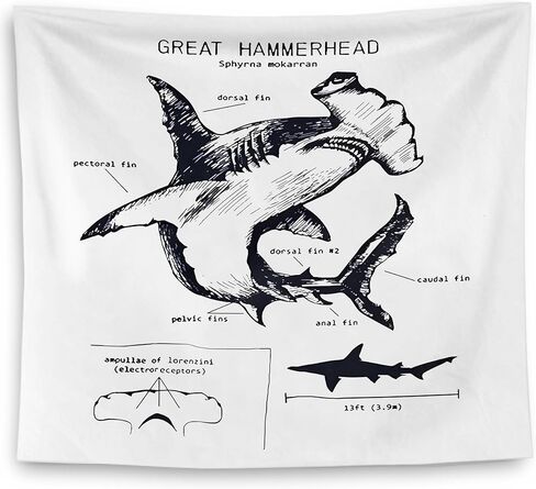 QGFM Shark Tapestry, Shark Wall Decor, Anatomy of a Shark Educational Tapestry Wall Hanging for Classroom Kids Room Bedroom Playroom Decor, Marine Biology Decor, Ocean Classroom Decor, 50x60 Inches in Saudi Arabia