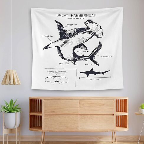QGFM Shark Tapestry, Shark Wall Decor, Anatomy of a Shark Educational Tapestry Wall Hanging for Classroom Kids Room Bedroom Playroom Decor, Marine Biology Decor, Ocean Classroom Decor, 50x60 Inches in Saudi Arabia