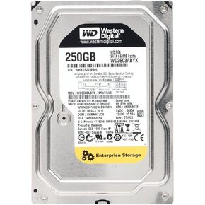 250GB 7200RPM 64MB CACHE SATA 3GB/S- RE4 - WD2503ABYX