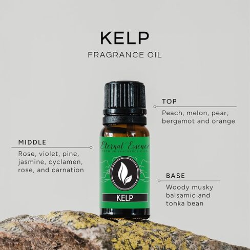 Eucalyptus Premium Grade Fragrance Oil - Scented Oil - 30ml in Saudi Arabia
