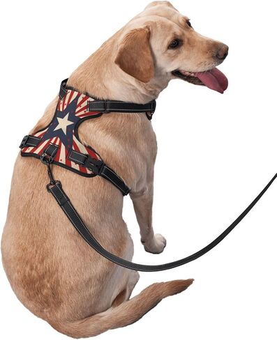 Dog Harness for Large Dogs with Leash No Pull 2 Leash Clips, Adjustable Soft American Flag Firefighter Cross Axe Dog Vest Set Large Size in Kuwait