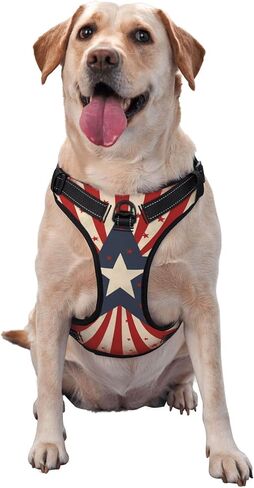 Dog Harness for Large Dogs with Leash No Pull 2 Leash Clips, Adjustable Soft American Flag Firefighter Cross Axe Dog Vest Set Large Size in Kuwait
