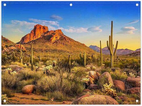 Zthmoe Fabric 7x5ft Desert Photography Backdrop Cactus Plants Rock Mountains Park Nature Clistr in Kuwait