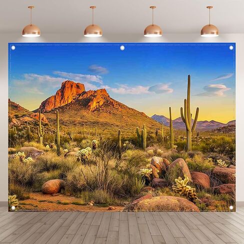 Zthmoe Fabric 7x5ft Desert Photography Backdrop Cactus Plants Rock Mountains Park Nature Clistr in Kuwait