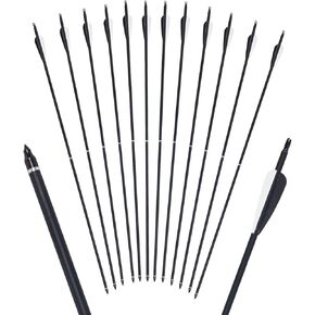 FUNTRESS Archery 31 inch Carbon Arrow Combinable Portable Arrow Practice Hunting Arrows for Compound & Recurve Bow(Pack of 12)