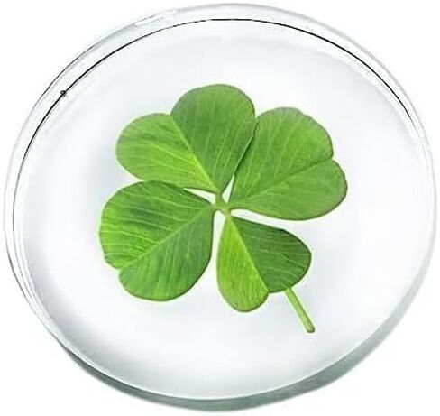Good Luck Four Leaf Clover Crystal Token in Saudi Arabia