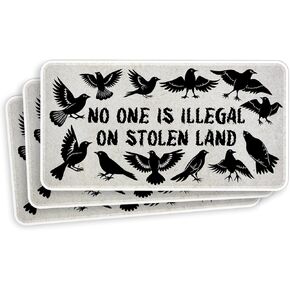 (3Pcs) No One is Illegal On Stolen Land Sticker Indigenous Immigrant Rights Native Land Back 3" Waterproof Die-Cut Vinyl Sticker for Laptop Water Bottle Phone Car Sticker Gifts 3 Inches