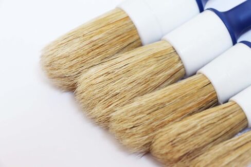BZ Natural Boar Hair Detailing Brush 5pcs Set, Automotive Non-Slip Detail Brushes for Cleaning Wheels, Engine, Interior, Exterior, Leather, Seat, Lug Nut, Emblems, Air Vents, Car, Motorcycle in Saudi Arabia