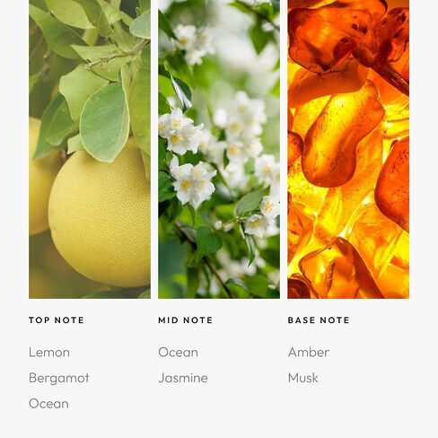 Aroma360 | Miami Heat Smart Car Diffuser Oil | Car Aromatherapy Diffuser Essential Oil | Lotus Flower | Italian Mandarin | Peach Blossom & Rose | Amber & Sandalwood | Vegan Diffuser Oil in Saudi Arabia