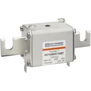 PC71GB69V125EF Y301321 PC71GB69V160EF Z301322 PC71GB69V200EF A301323 PC71GB69V250EF B301324 Fuse(PC71GB69V125EF)