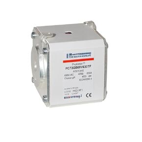 PC73GB69V800TF D301717 PC73GB69V900TF S301638 PC73GB69V10CTF F301719 Fuse(PC73GB69V10CTF)