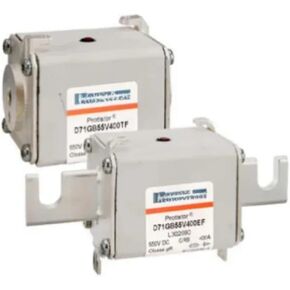 D71GB60V250TF C302084 D71GB60V315TF D302085 D71GB60V160EF A302680 D71GB60V200EF D302706 D71GB60V250EF D302223 Fuse(D71GB60V315TF)