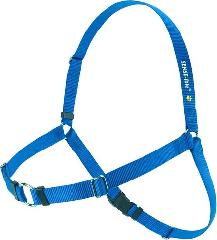 Softouch Sense-ible No-Pull Dog Harness - Black Medium in Saudi Arabia