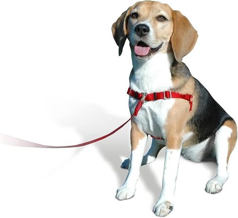 Softouch Sense-ible No-Pull Dog Harness - Black Medium in Saudi Arabia