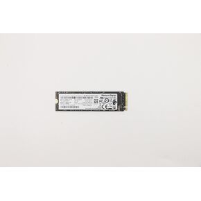 Lenovo 256G PCIe 3x4, 5SS0V26411 (Renewed)