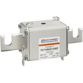 PC71GB69V125EF Y301321 PC71GB69V160EF Z301322 PC71GB69V200EF A301323 PC71GB69V250EF B301324 Fuse(PC71GB69V250EF)