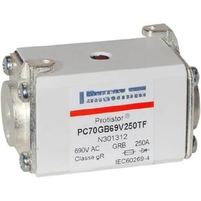 1PCS PC70GB69V125TF G301283 PC70GB69V160TF L301310 PC70GB69V200TF M301311 PC70GB69V250TF N301312 FUSE (PC70GB69V250TF)