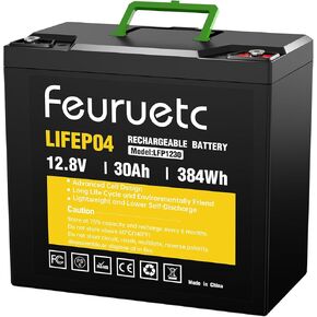 12V 30Ah Deep Cycle LiFePO4 Battery, 4000+ Cycles, Maintenance-Free Battery for Camping, Fish Finder, Scooter, Security System, Ride on Toys, UPS etc Rechargeable Lit