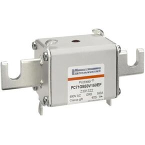 PC71GB69V125EF Y301321 PC71GB69V160EF Z301322 PC71GB69V200EF A301323 PC71GB69V250EF B301324 FUSE (PC71GB69V160EF)
