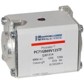 PC71GB69V125TF Q301314 PC71GB69V160TF R301315 PC71GB69V200TF S301316 PC71GB69V250TF T301317 Fuse(PC71GB69V250TF)