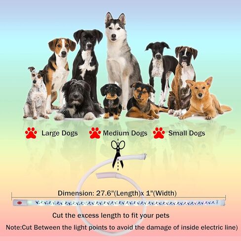 GS GLOWSEEN طوق الكلب المتوهج القابل لإعادة الشحن USB-C، طوق الكلب المضيء مع حلقة على شكل حرف D لربط المقود، والحزام، وتوهج سيليكون ناعم في الظلام حجم طوق الكلب قابل للتعديل للكلاب الصغيرة والمتوسطة الكبيرة (أرجواني) in Kuwait