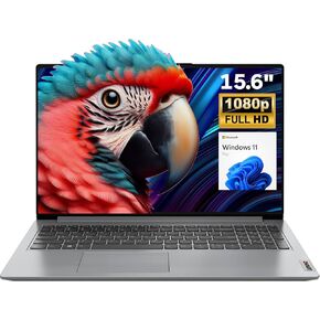 Lenovo IdeaPad 15.6" FHD Laptop for Business and Student, 36GB RAM, 1TB SSD, Intel Dual-core Processor, WiFi6, Bluetooth 5.2, Type-C, HDMI, Cloud Grey, Windows 11 Pro, Z&O Accessories