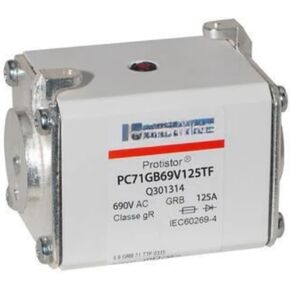 PC71GB69V125TF Q301314 PC71GB69V160TF R301315 PC71GB69V200TF S301316 PC71GB69V250TF T301317 FUSE (PC71GB69V160TF)