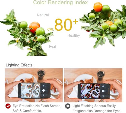 E12 LED Light Bulbs, 12W LED Candelabra Bulbs 100 Watt Equivalent, 1200LM, 6000K Daylight White Ceiling Fan Light Bulbs,Pack of 4 in Saudi Arabia