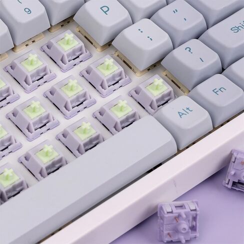 EPOMAKER Jade Blossom Mechanical Switch Set for Mechanical Keyboard, 30 Pieces 53gf Linear Switches, 5 Pin Pre-lubed Switch, LY Stem & Full POM Housings in Kuwait
