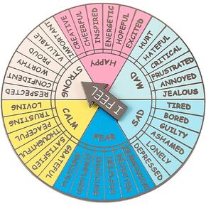 Feelings Wheel Enamel Pin Social Worker pin Mood Wheel Therapy Emotions Wheel for Therapy Office School Classroom Counseling Office
