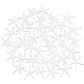 PH PandaHall 40pcs Mermaid Starfish Decor, 2 Inch Pencil Finger Starfish Resin Sea Star Flatback Hanging Decorative Ornaments for Wedding Party Christmas Tree, Beach Home Crafts Project Fish Tank