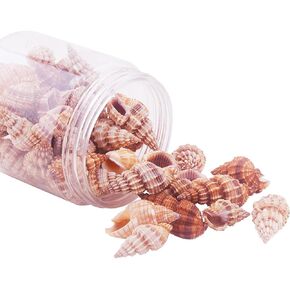 PH PandaHall About 38~50pcs Tiny Sea Shell Ocean Beach Spiral Seashells Craft Charms Length 14-40mm for Candle Making, Home Decoration, Beach Theme Party Wedding Decor, Fish Tank and Vase Fille