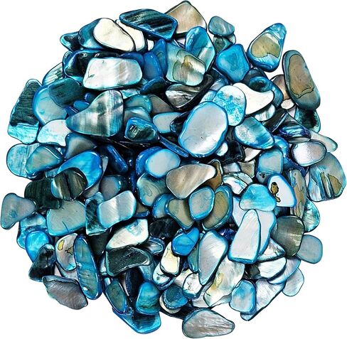 Natural Crushed Shells Chips Irregular Mother of Pearl Seashell Fragments Sea Shell Pieces for DIY Crafts, Vase Filler, Decorating, Home Décor in Saudi Arabia